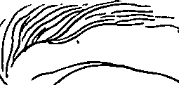123/123900090000230_1.png