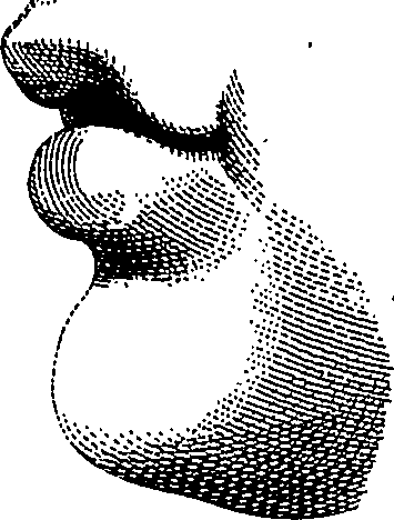 123/123900090000240_0.png