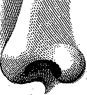 123/123900090000240_1.png