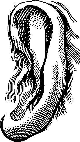 123/123900090000250_0.png