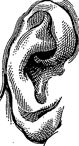 123/123900090000250_1.png