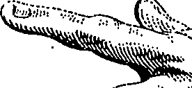 123/123900090000260_2.png