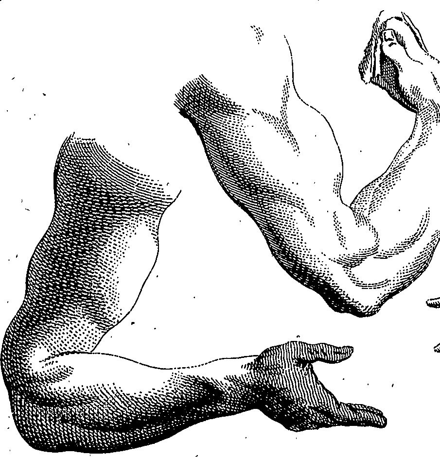 123/123900090000280_0.png