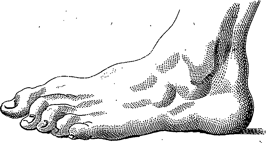 123/123900090000290_0.png