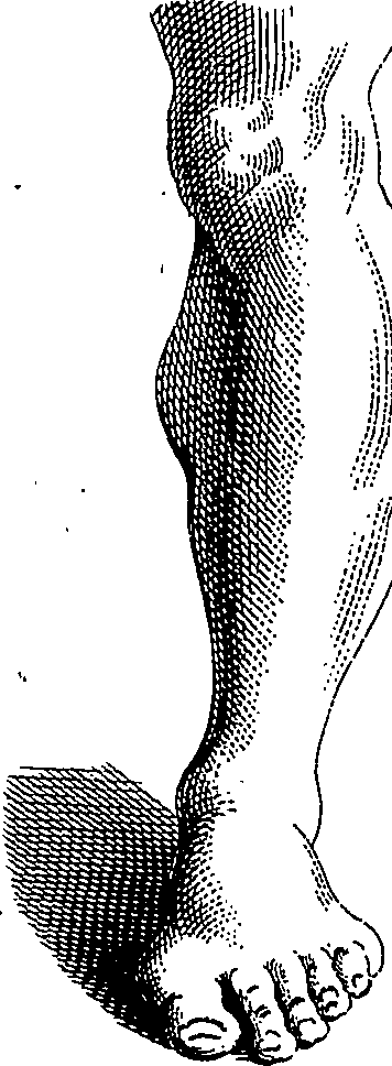 123/123900090000300_1.png