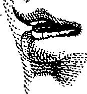 123/123900090000380_0.png