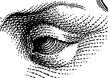123/123900090000460_0.png