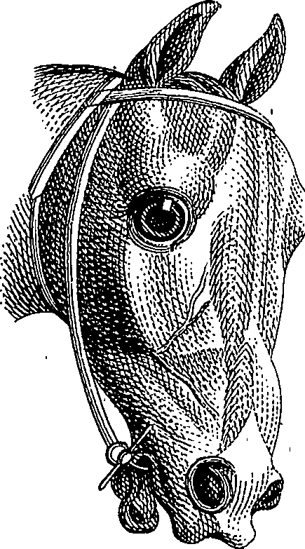123/123900090000820_0.png