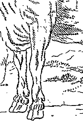 123/123900090000950_1.png