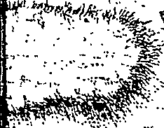 123/123900170000030_0.png