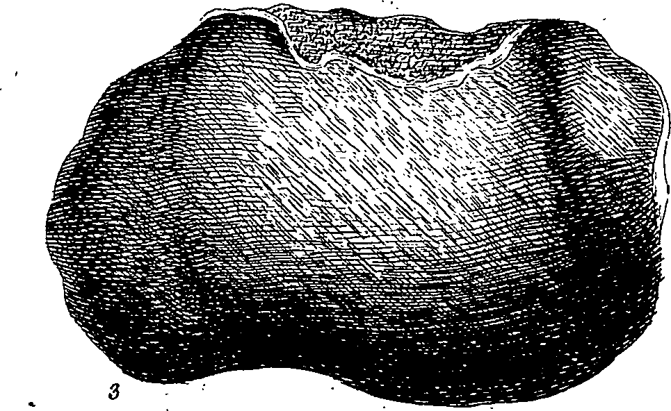 123/123900290000150_0.png