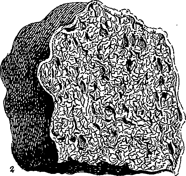 123/123900290000150_1.png