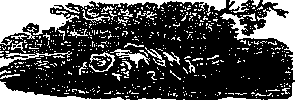 123/123940040102560_0.png