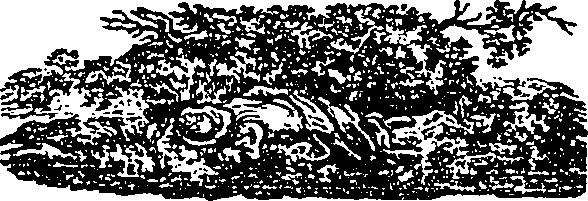 123/123940040103230_0.png