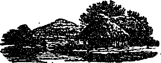 123/123960010310020_0.png