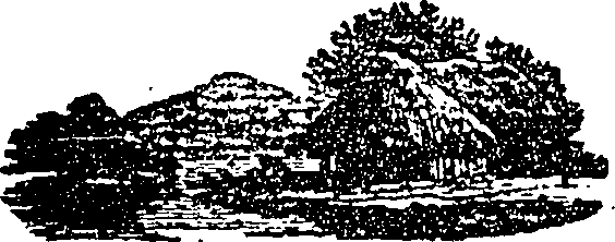 123/123960010310040_0.png