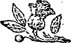 124/124040040000030_0.png
