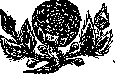 124/124050300000220_0.png