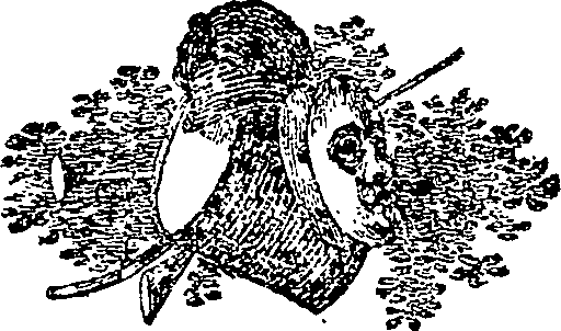 124/124060020000020_0.png