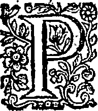 124/124090260100300_0.png