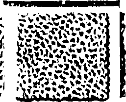 124/124200030000160_0.png
