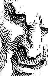 124/124210010301830_0.png