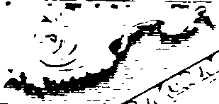 124/124220160000550_0.png