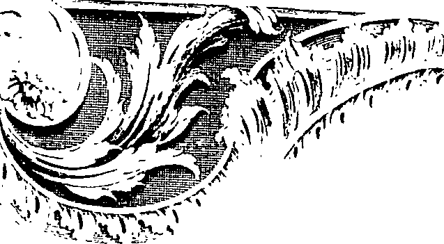 124/124220160000560_0.png