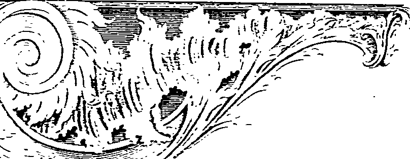 124/124220160000570_0.png