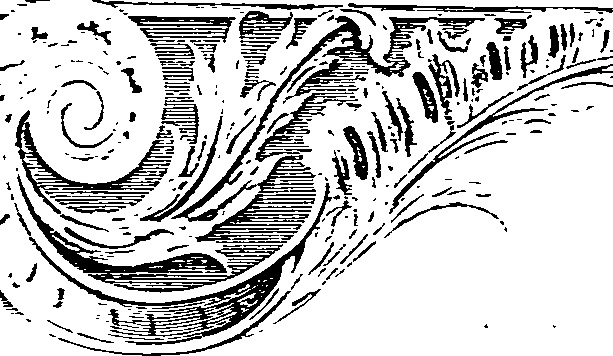 124/124220160000570_2.png