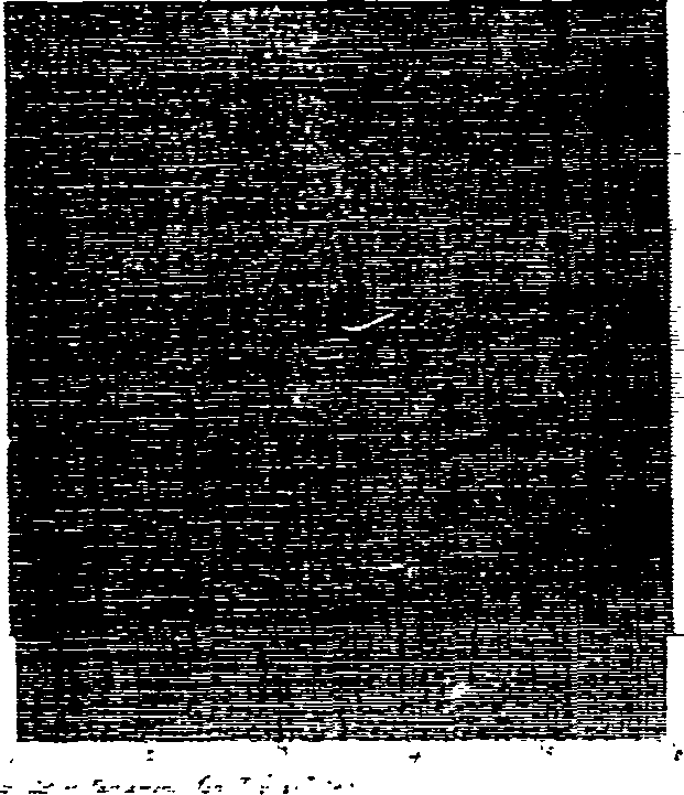 124/124220160000730_0.png