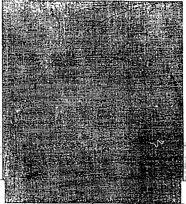 124/124220160000760_2.png