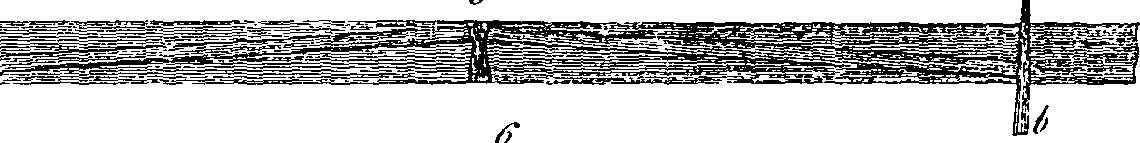 124/124220160000820_1.png