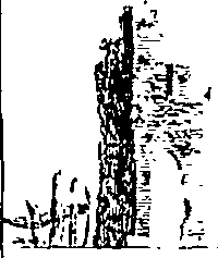 124/124220170000260_2.png