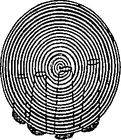 124/124230010104740_3.png