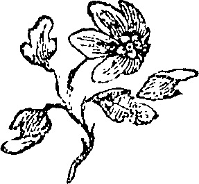 124/124400050100350_0.png