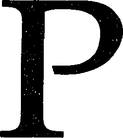 124/124510030000910_8.png