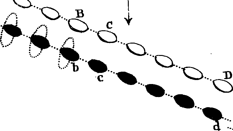 124/124520060000740_0.png