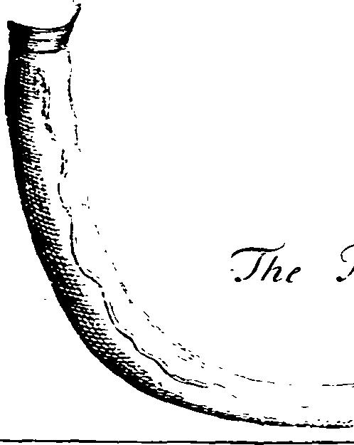124/124550010008360_1.png