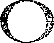 124/124670010001990_0.png