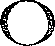 124/124740010000870_1.png