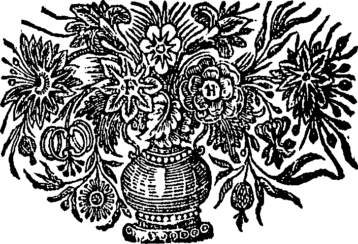 125/125030120503790_0.png