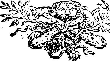 125/125190010103720_0.png