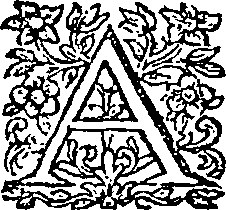125/125210090002120_0.png
