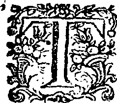 125/125210090003780_0.png