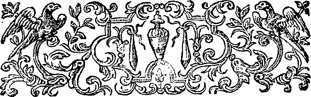 125/125210090003780_1.png