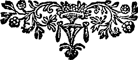 125/125210090003980_0.png