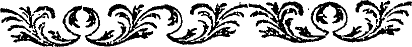 125/125290100000120_0.png