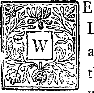 125/125340040000360_0.png