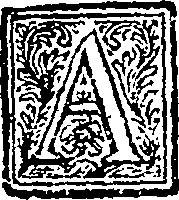 125/125340040001650_0.png